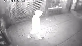 Williamsburg Burglary
