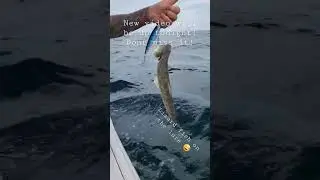 Another Lizard Fish #fishing #tarponsprings #lizardfish #like #subscribe #new #video #tonightupdate