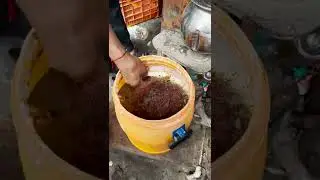 Jodhpur Famous Masala Chaas | Bhati Chaas Bhandar | Just Foodie Things