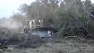 Desmonte con Cadeneo