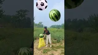 funny watermelon vfx magic video kinemaster video editing free