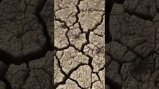 Drought