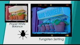 Fundamentals of Digital Photography - Using Light 2