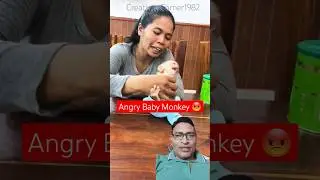 Angry baby Monkey 😡 #babymonkey #monkey #cute #funny #shorts #trending #adoreble