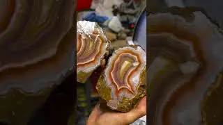 Let's cut and polish this  large Laguna Agate!