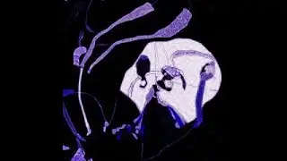 Hiatus Kaiyote- All The Words We Don't Say (Slowed + Reverb)