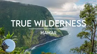Waipio Valley to Waimanu Valley Hike | Hardest Trail on Big Island Hawaii
