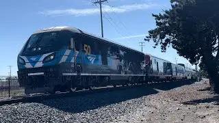 Amtrak Coast Starlight A14 with ALC-42 *RARE* 301 50th Anniversary Edition Leading with Hornshow!