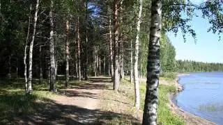 Taisto Tammi: Rantatie 1974
