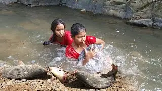 Life in jungle, Skills catch big fish in waterfall, Big fish egg soup chili tasty & Eating delicious