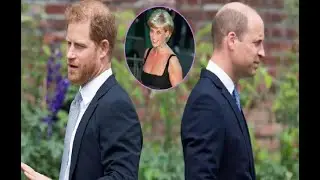 El Legado de la princesa Diana: &iquest;por qu&eacute; Harry y Guillermo no heredar&aacute;n Althorp?, conoc&eacute; su nuevo