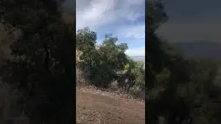 Fryman Canyon - 2021