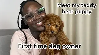 I come back| Meet my teddy bear puppy| First time dog owner |South African youtuber in China.