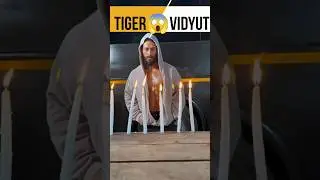 Tiger Shroff Vs Vidyut Jamwal Stunt #shorts #trending #tigershroff #vidyutjammwal #youtubeshorts