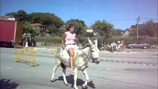 Várzea da Serra.Senhora da Saúde. Corrida dos Burros 2012