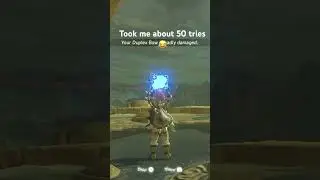 Doing the BLS/BLSS Glitch in BOTW #shorts