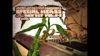 MF Doom - Safed Musli