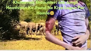 The Most Terrifying Elephant Attack Ever Camera Me Recording