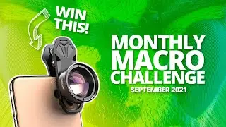 Macro Photography Challenge [September 2021]