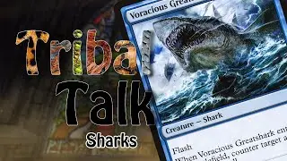 Tribal Talk | Episode 7 | Sharks