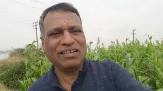 ವಿಘ್ನೇಶನಿಗೆ ನಮಸ್ಕಾರ 