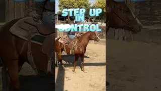 STEP UP in #CONTROL the #firstride on a #younghorse #trainer #horse #tips #riding #colts #horseshort