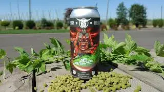 WILLAMETTE VALLEY HOPS - BOLERO SNORT: NEO SAMOORAI