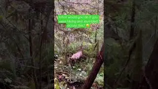RV / Travel Life / wildlife #shortvideo #vlog #travelvlogs #wildlife #hike #shorts #travel #explore