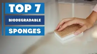 7 Best Biodegradable Sponges for Eco-Friendly Cleaning