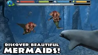 🐬👍Dolphin Simulator- Mermaids and Crab King-Симулятор дельфинов-Русалки и король крабов-IOS/Android