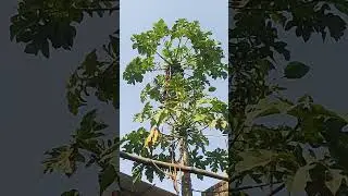 Block Khet ka video poo part2 ooo 🥀thk Ramzan lslamic🤲 lslma amarvlock posts