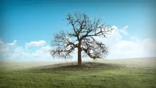 FINCA Bank - Построим будущее вместе!