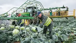 Top 5 Ingenious Farm Machinery That Make Farming Work Great | High-Yield Harvesting Solution