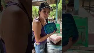 How we save money at Disney World . . . bring your own food! | Disney World on a Budget Tips