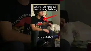 The way the cat stares at him 🤣😭 #prankgonewrong  #hope  #cat  #funny #memes #blowup