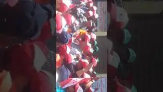 Local level Election campaign 2074