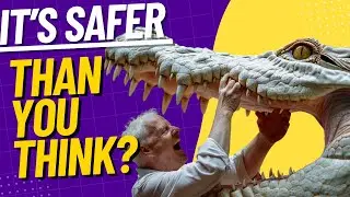 What is Risk Compensation? - Psychology Facts