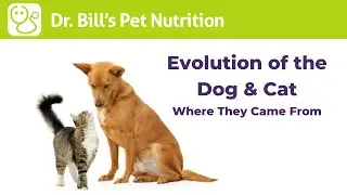 Evolution Of The Dog & Cat | Where They Came from | Dr. Bill's Pet Nutrition