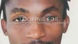 Looking For - Radio & Weasel Feat Jose Chameleon | Pallaso | Kayswitch