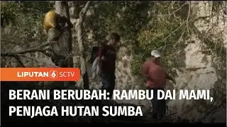 Berani Berubah: Cerita Perempuan Penjaga Hutan Sumba | Liputan 6