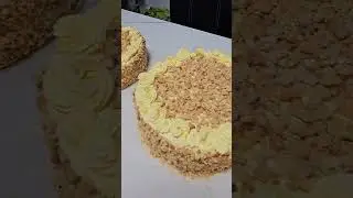 #sansrival