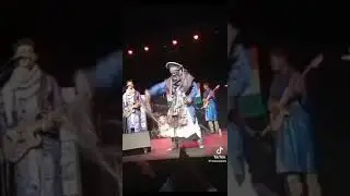 Tuareg guitar