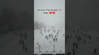 shimla - The Queen of Hills ❤️❤️ #youtubeshorts #shortvideo #shimla