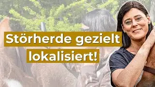 Warum einfache Laserakupunktur nicht reicht &ndash; und was kontrollierte Laserakupunktur wirklich kann!
