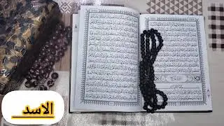 برج الاسد 💖 قراءه تفصيلية كامله للجنسين تنطبق 🥰