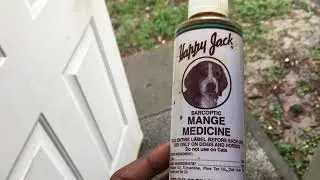 Mange In Dogs Treatment Happy Jack Review