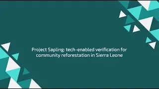 Project Sapling: the role of technology in reducing funder hesitancy in reforestation initiatives
