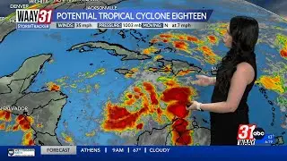 Amber Kulick's Monday Morning Tropical Update 11/04/24