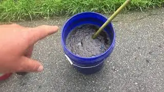 DIY shrub repair (for cold damage) with RGS