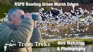 RSPB Bowling Green Marsh Exe Estuary Devon. Bird watching & photography. Canon R7 RF100-500